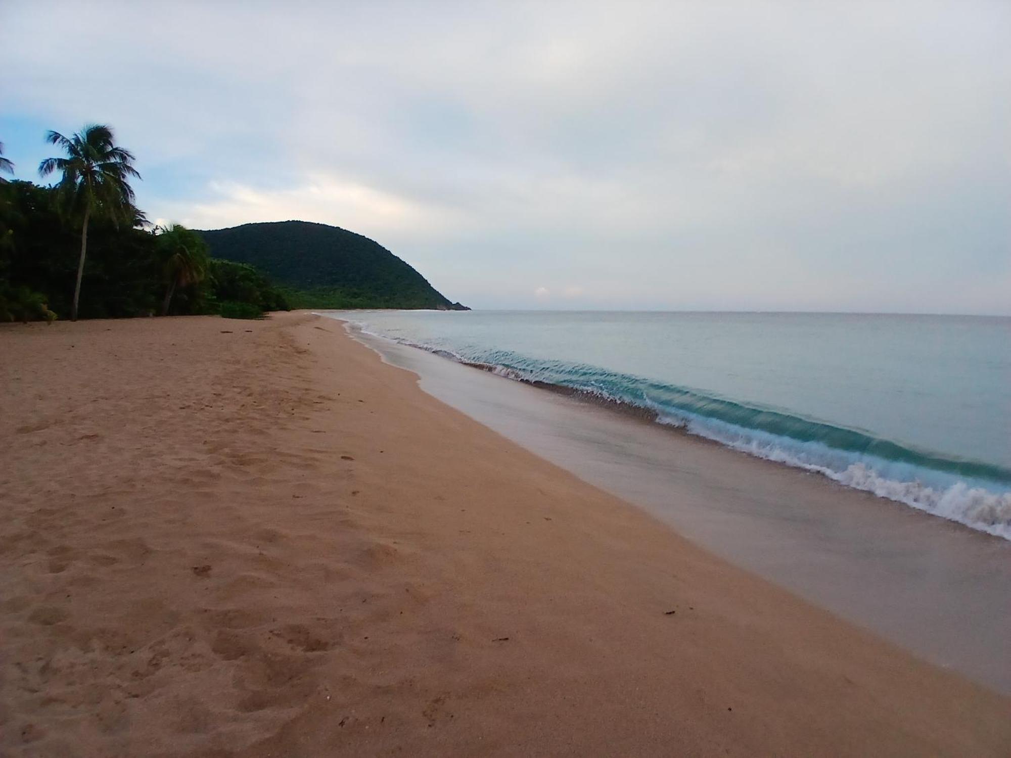 Ecolodges Karet Deshaies Exterior foto